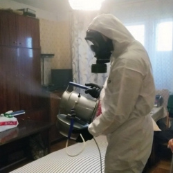 Дезинфекция от клопов в Сергиевом Посаде