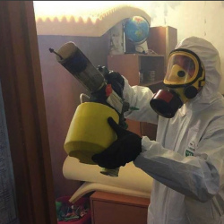 Уничтожение клопов в квартире. Сергиев Посад